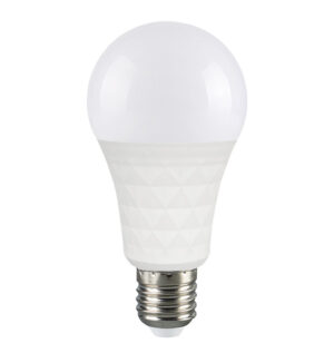 A60S LED Bulb