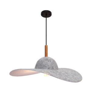 Ceiling Hanging Light