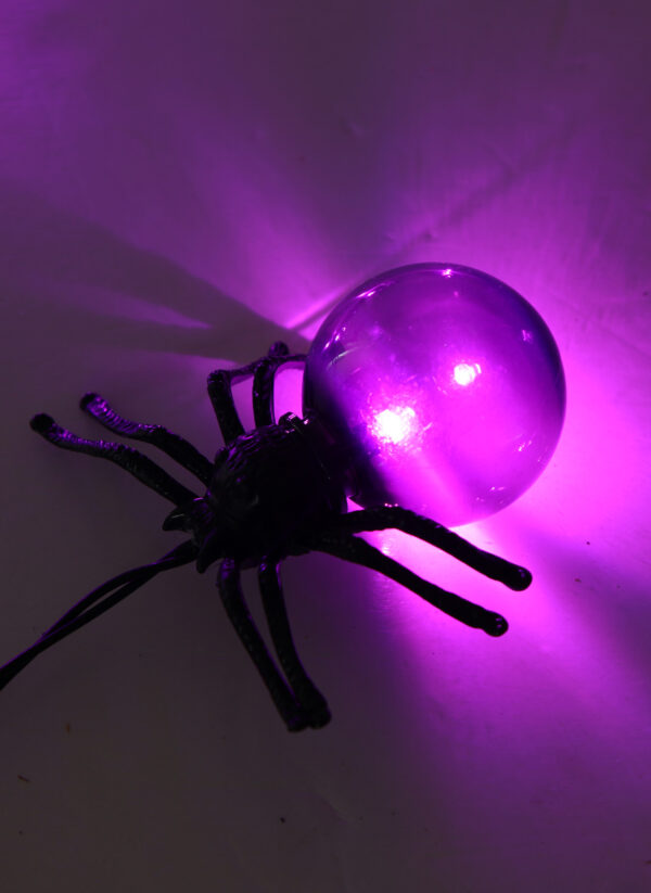 LED Battery-operated Spider Halloween Lights